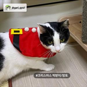 고양시의 다이소 카탈로그 | 다이소 전단지 | 2023. 11. 29. - 2023. 12. 2.